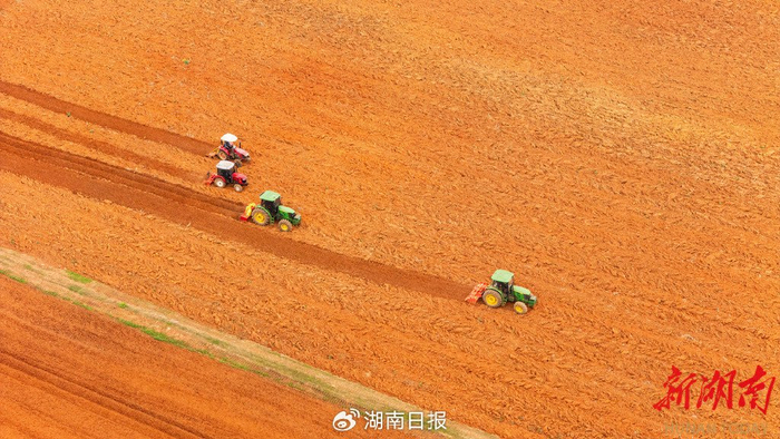  （3月18日，永州市冷水滩区伊塘镇大树坪村永州市柑橘示范场三工区，农机手驾驶农机翻耕土地。文佳星 摄）