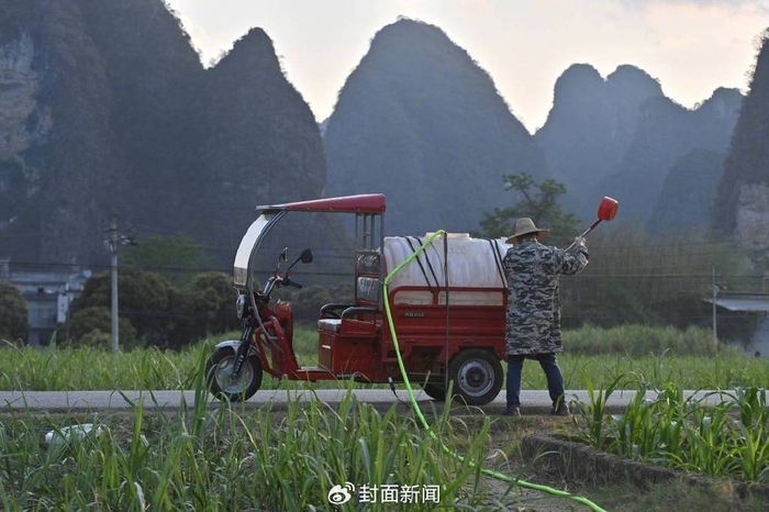 4月21日，广西都安瑶族自治县地苏镇镇和村村民在给玉米浇水。新华社发