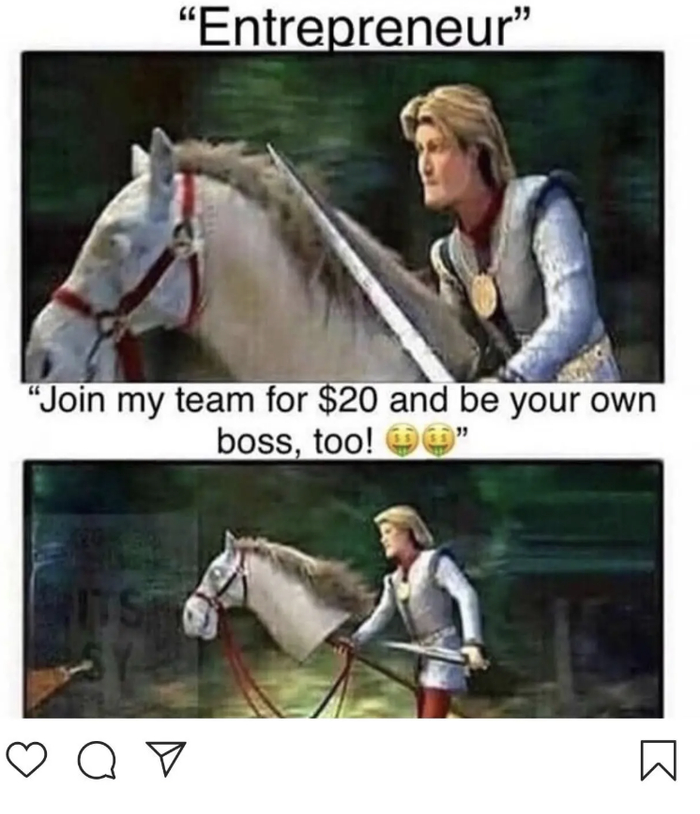 “仅需20美元，成为会员，做自己的老板”