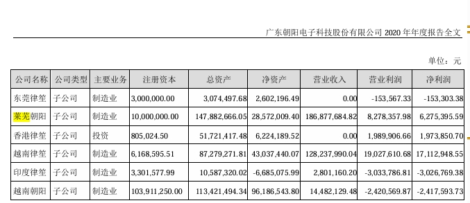 图片来源：公司2020年年报截图