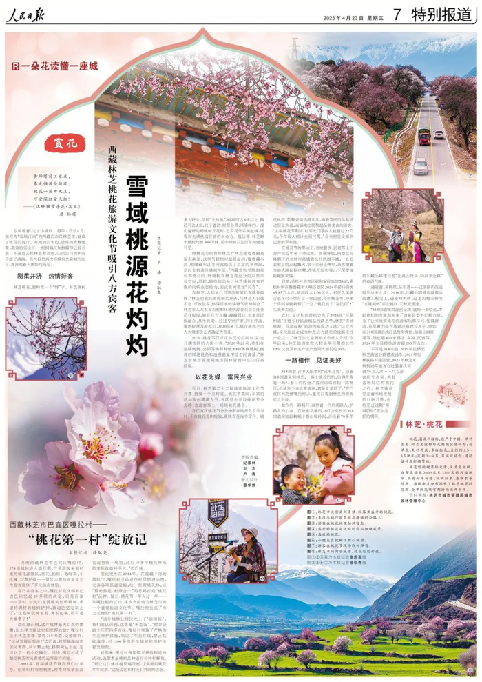报道来源：《人民日报》2025.4.23 第7版