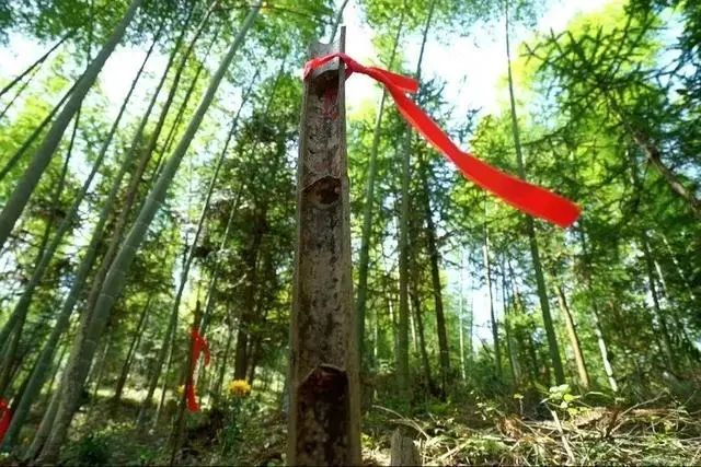 图源：南平文旅