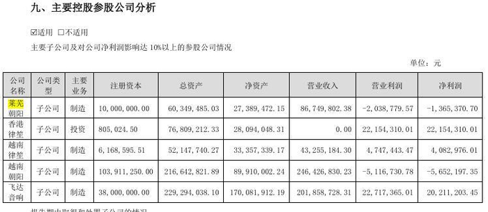 图片来源：公司2022年年报截图