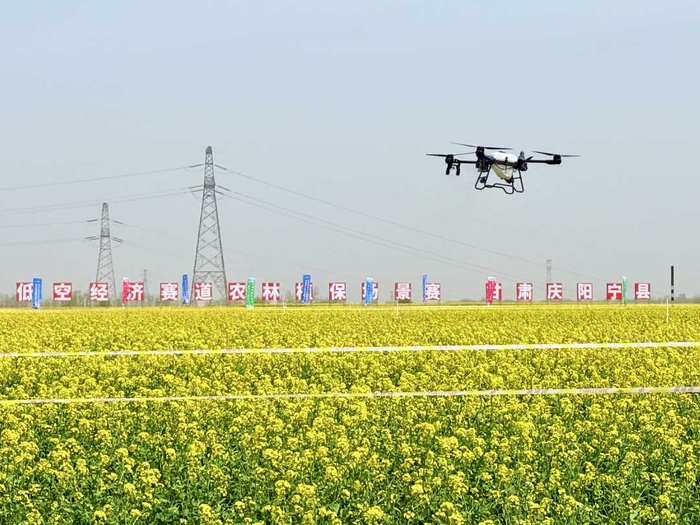 图为2025数字中国创新大赛•低空经济赛道农林植保场景赛比赛现场。倪思艺摄
