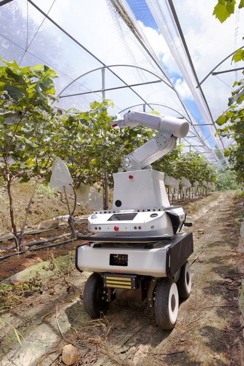 　　煜禾森科技公司研发的采摘机器人。（受访者供图）