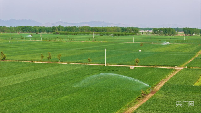 南阳市全力组织抗旱浇灌（央广网发  张举  摄）