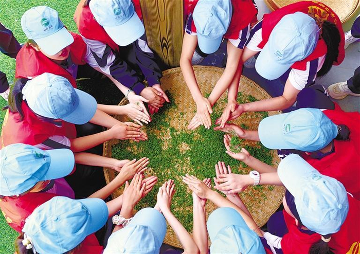学生在平利县田珍茶业园区研学（资料照片）。 本报通讯员 赵晓罡摄