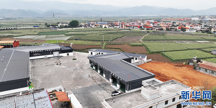 德宏鼎鸿农业开发有限公司鲜食玉米加工厂全貌（4月11日摄）。新华网 刘云 摄