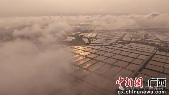 晨雾中的东兴市现代农业产业园