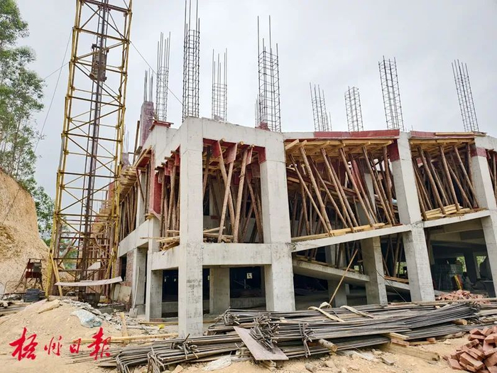 4月18日，位于长洲区倒水镇马水村的广西力源集团生猪立体养殖基地建设现场，标准化猪舍主体结构正在加快建设。蒙敏莹 摄