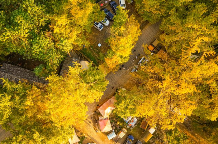 保山咖啡营地 杨根蔚 摄