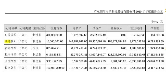 图片来源：公司2020年年报截图