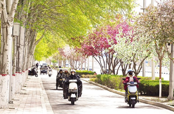 春的气息充盈在大街小巷。