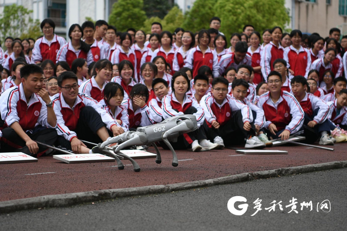 同学们在观看机械狗表演