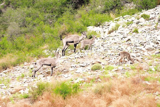 宁夏深居中国内陆且四季分明。