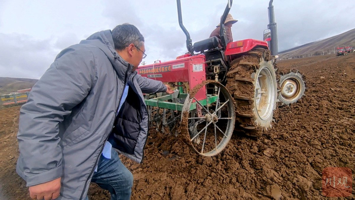 高茂宏向大家讲解油菜播种机使用要点。