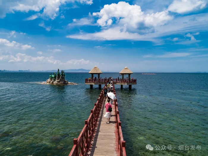 ▲养马岛。摄影/小草