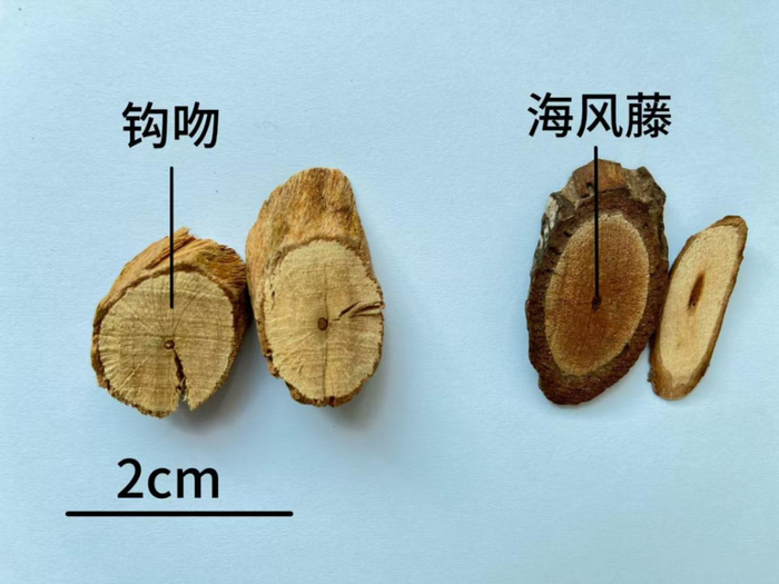图/佛山疾控