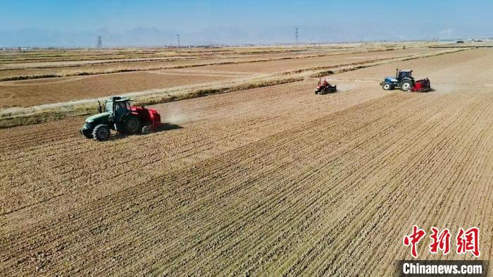 图为小麦种植现场。 王皓巍 摄