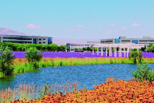 甘肃有色冶金职业技术学院校园风景