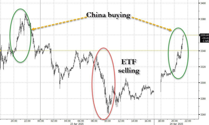 风险提示及免责条款