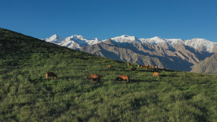 风景如画的新疆昆仑山景区。 资料照片 