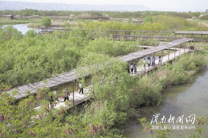 4月17日，采访团在洽川湿地采访。
