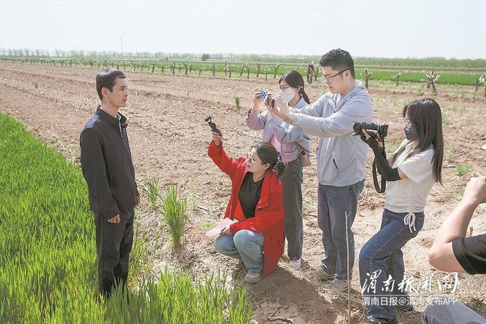 4月17日，采访团在合阳县新池镇牛庄村采访粮食高产田和设施农业园区情况。