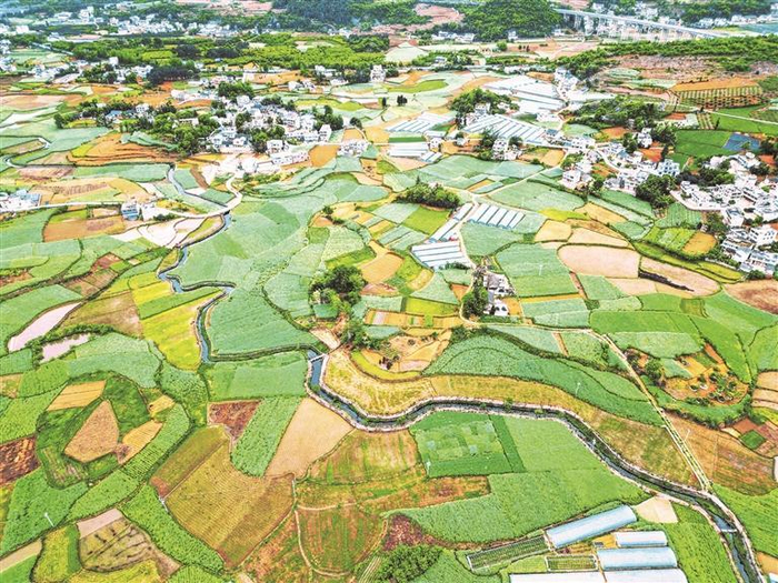 毕节黔西市杜鹃街道大兴社区，田园葱郁、乡村景美。侯进勇 摄
