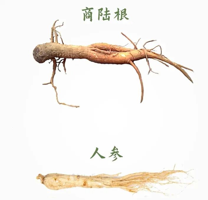 图/佛山疾控