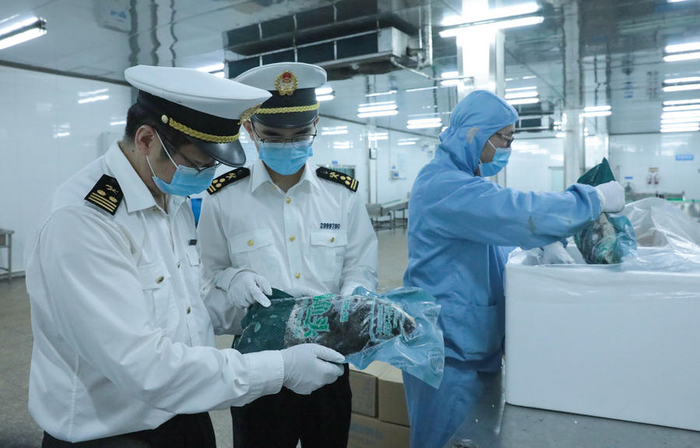 图片由杭州海关提供