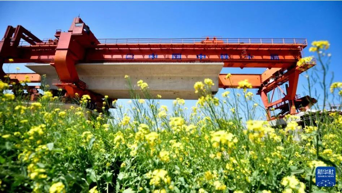 4月15日，在雄商高铁山东省济宁市梁山段，中铁十局的工作人员在进行箱梁架设作业。新华社记者 郭绪雷 摄