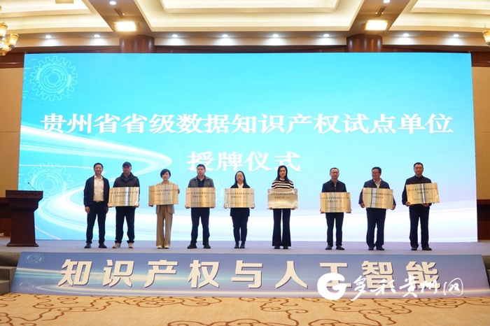为贵州省省级数据知识产权试点单位授牌