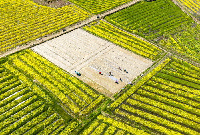　　3月19日，在湖南省娄底市双峰县井字镇白碧村一处早稻集中育秧点，农民在秧田里劳作（无人机照片）。新华社发（李建新摄）