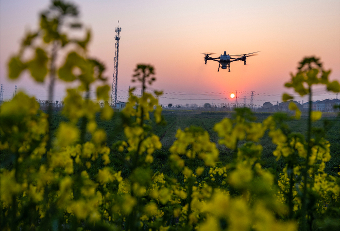 　　3月20日，在江苏省泰州市海陵区苏陈镇徐庄村，农技人员操作无人机进行小麦春管作业。新华社发（汤德宏摄）