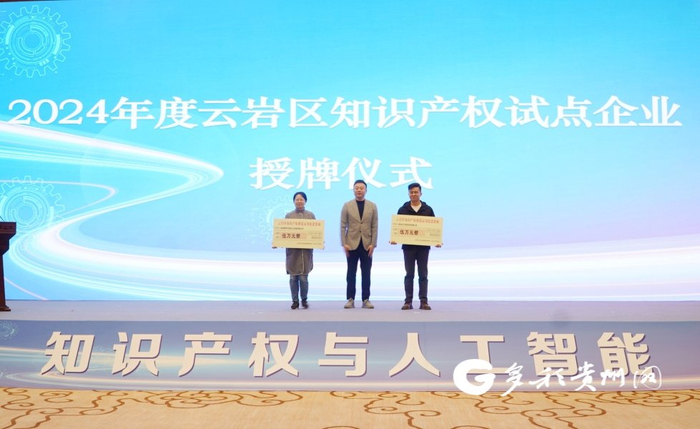 2024年度云岩区知识产权试点企业授牌仪式