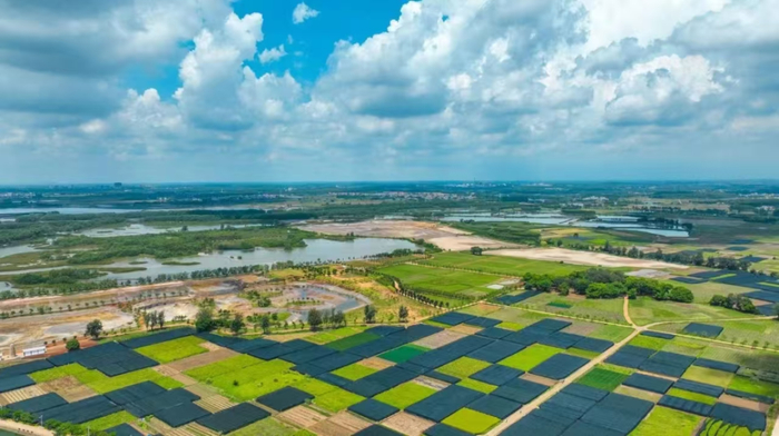 麻章乡村。吴东俊 摄