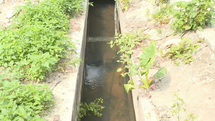 △生活污水经过处理后再排放，有效提升了村容村貌。图源 高要发布