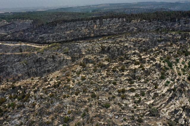 这是4月24日在耶路撒冷附近拍摄的一处被山火焚毁的森林保护区（无人机照片）。新华社发（吉尔·科恩·马根 摄）