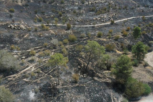 这是4月24日在耶路撒冷附近拍摄的一处被山火焚毁的森林保护区（无人机照片）。新华社发（吉尔·科恩·马根 摄）