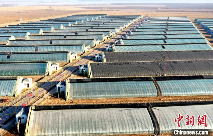 民勤县依托沙漠边缘独特气候打造的现代化蜜瓜种植示范区。马爱彬 摄