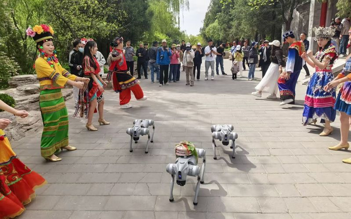 现场引入机器狗代替传统马帮“驮茶”，演员们穿着云南少数民族特色服饰欢迎游客。新京报记者 浦峰 摄