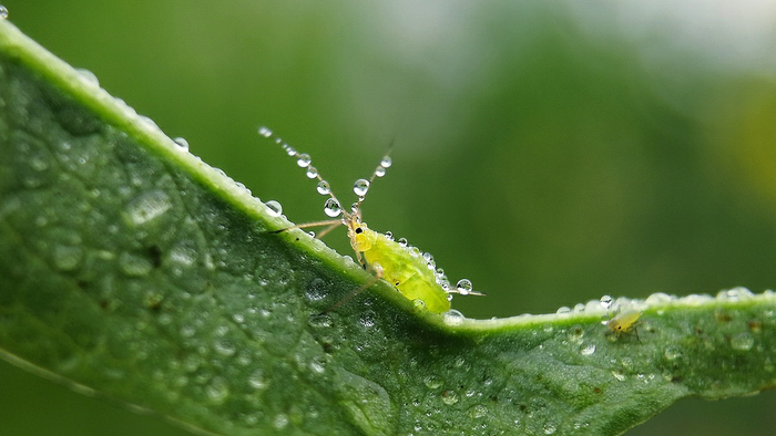 图源：视觉中国