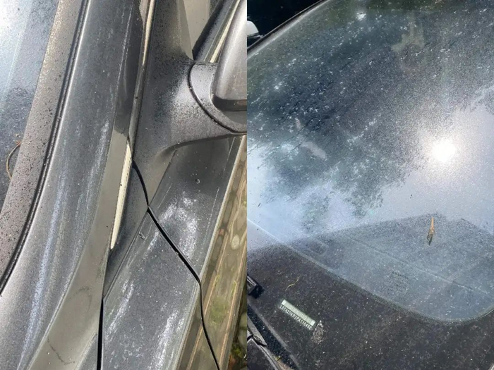 图源：小红书@🍑（已授权）