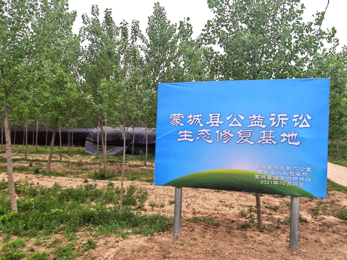 蒙城县公益诉讼生态修复基地标识牌。人民网记者 王子锋摄