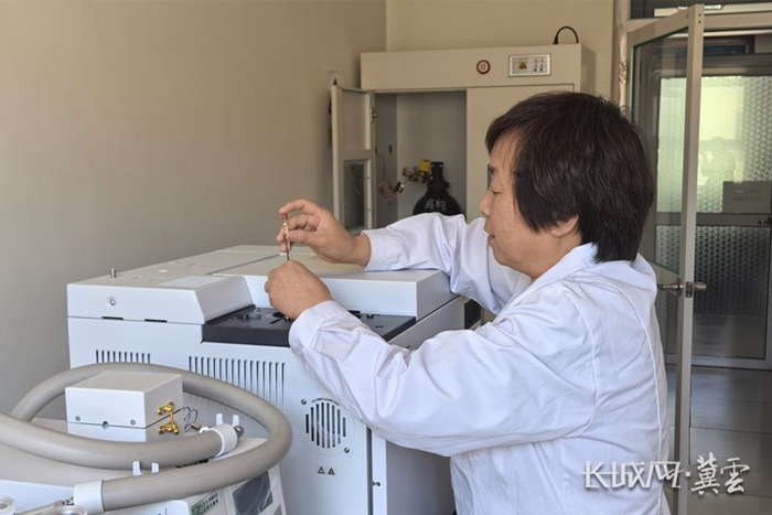 杨兰英正在检测檀香的相关数据。长城网·冀云客户端记者 王日成 摄