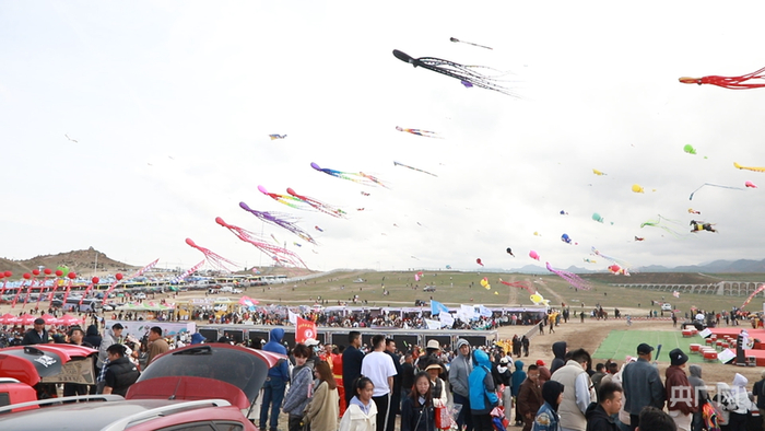活动现场热闹非凡，风筝与游人交织  （央广网记者丁安  摄）