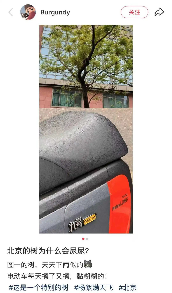图源：小红书@Burgundy（已授权）