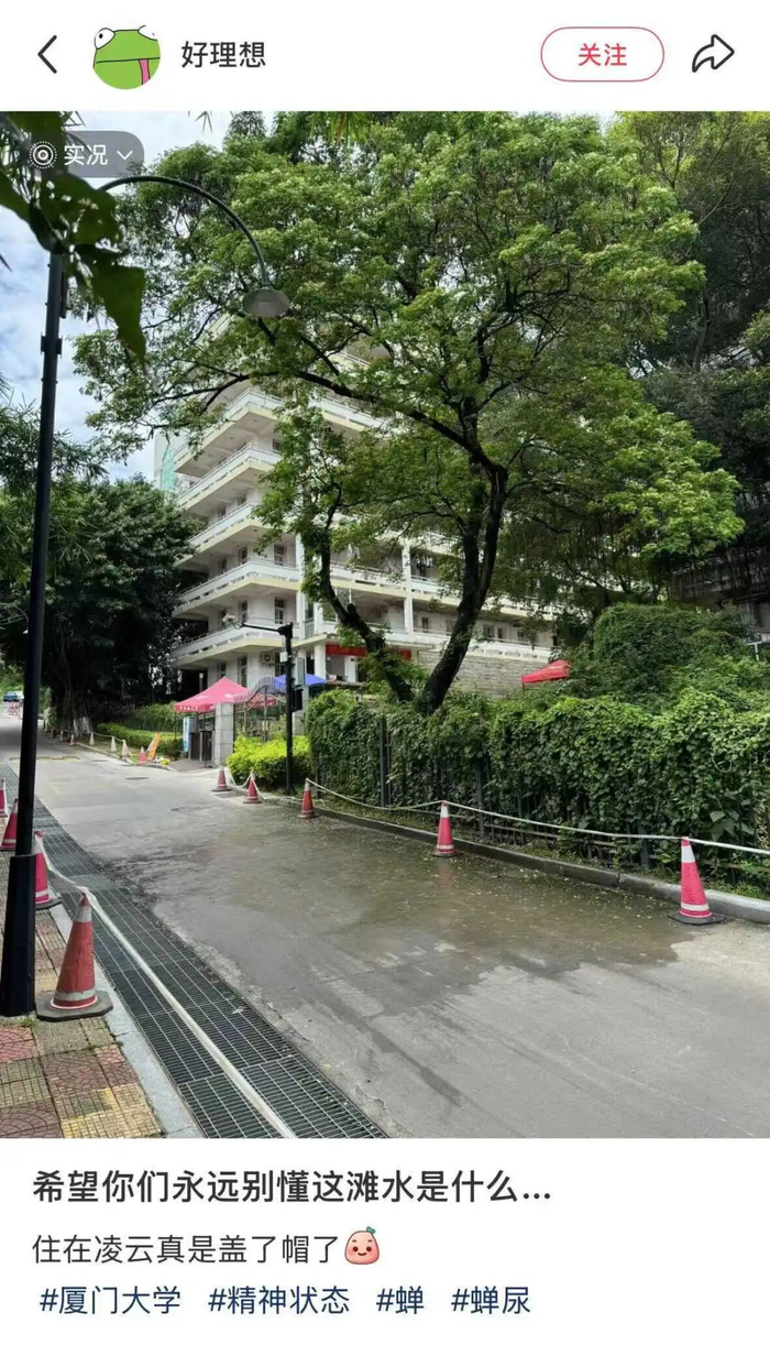 图源：小红书@好理想（已授权）