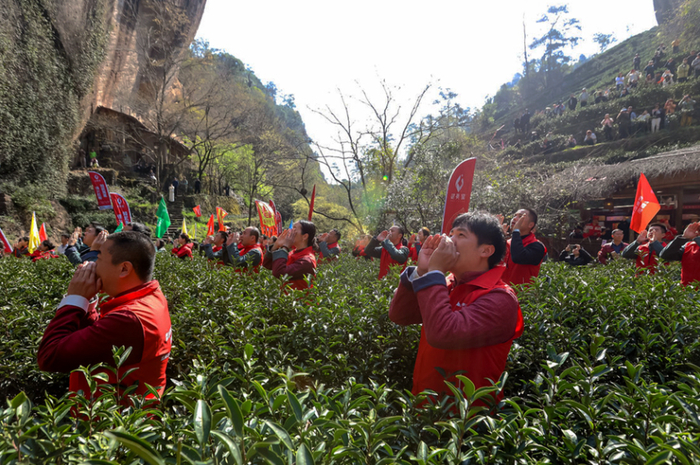 每年春天，武夷山各地都会举行“喊山祭茶”活动。武夷山市融媒体中心供图
